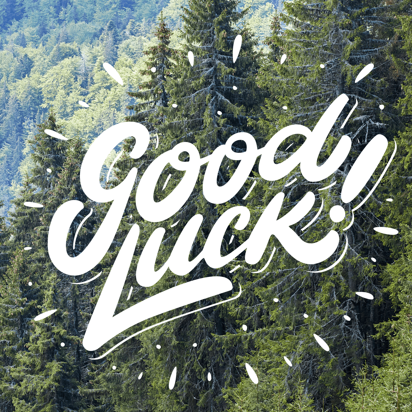Forest scene with 'Good Luck!' text overlay