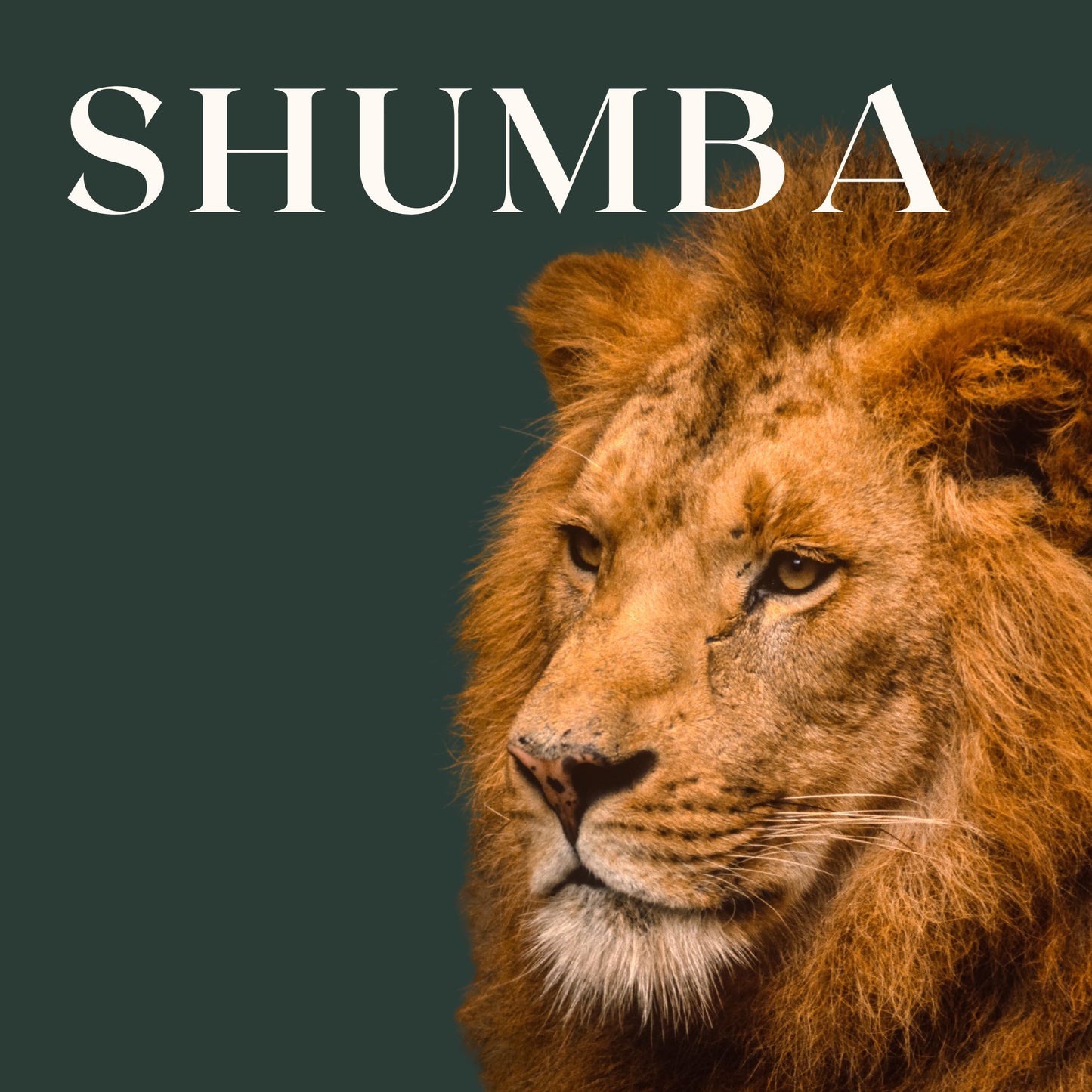 SHUMBA