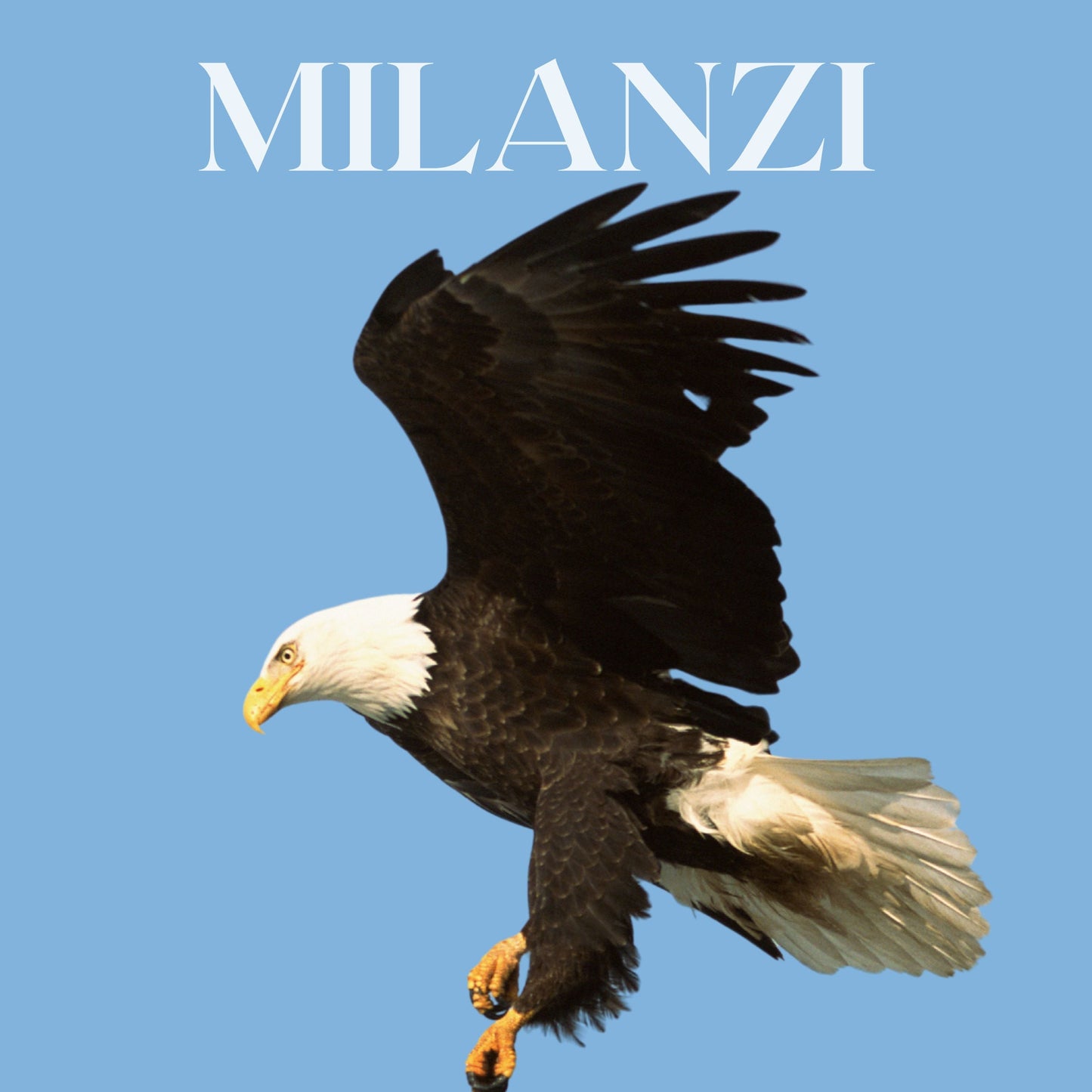 MILANZI