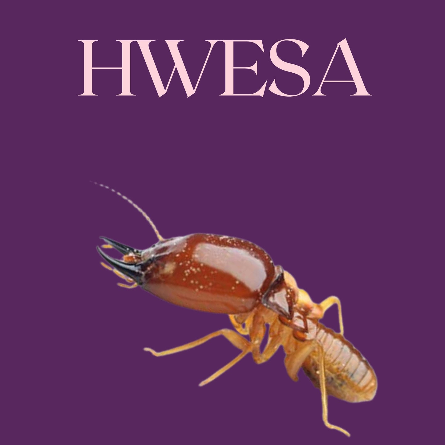 HWESA