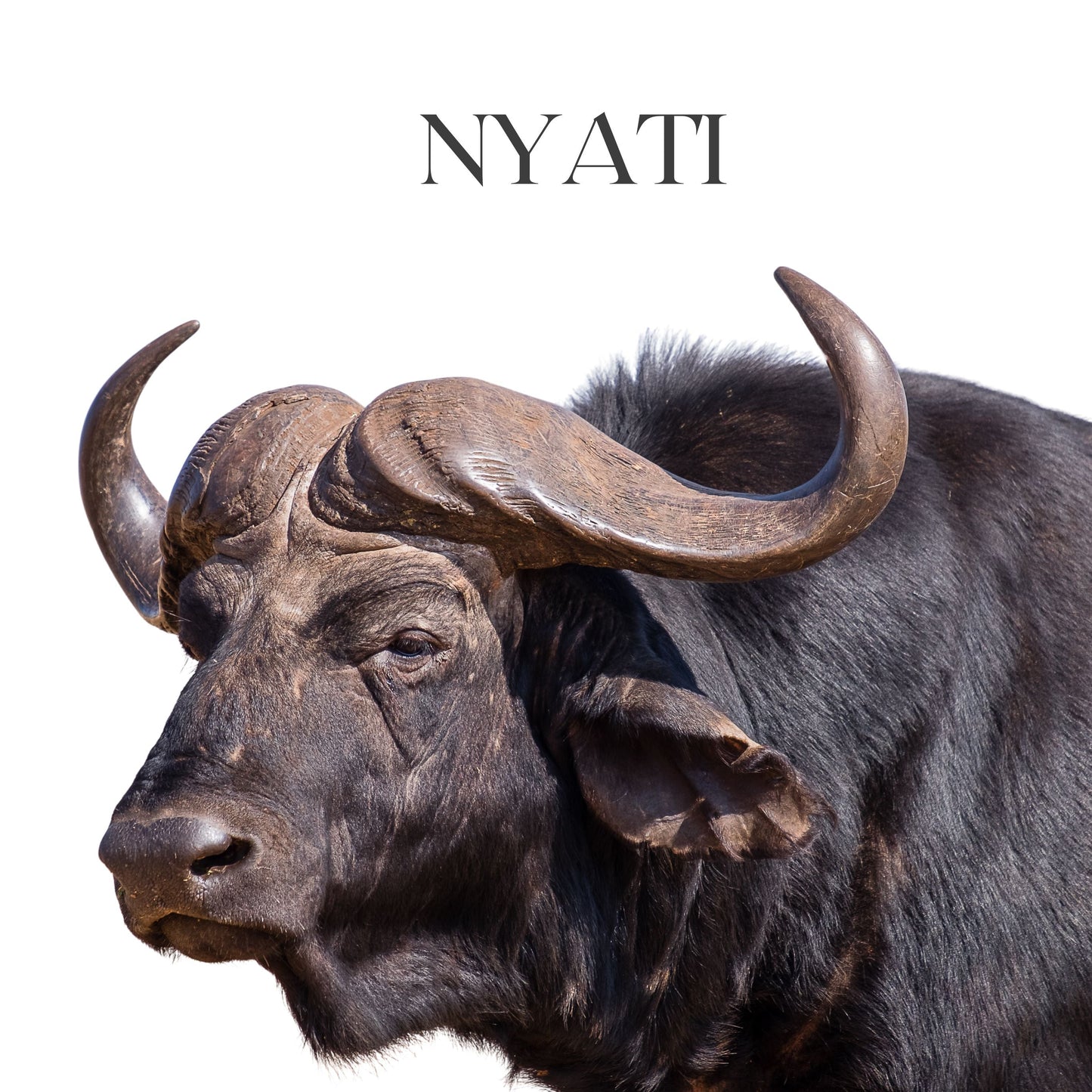 NYATI