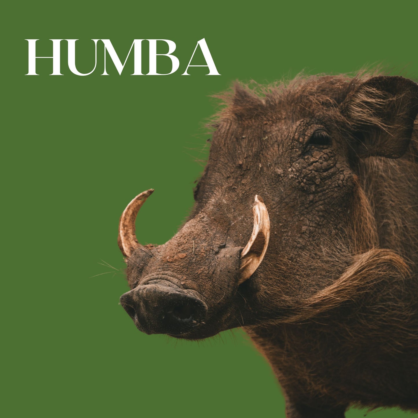HUMBA