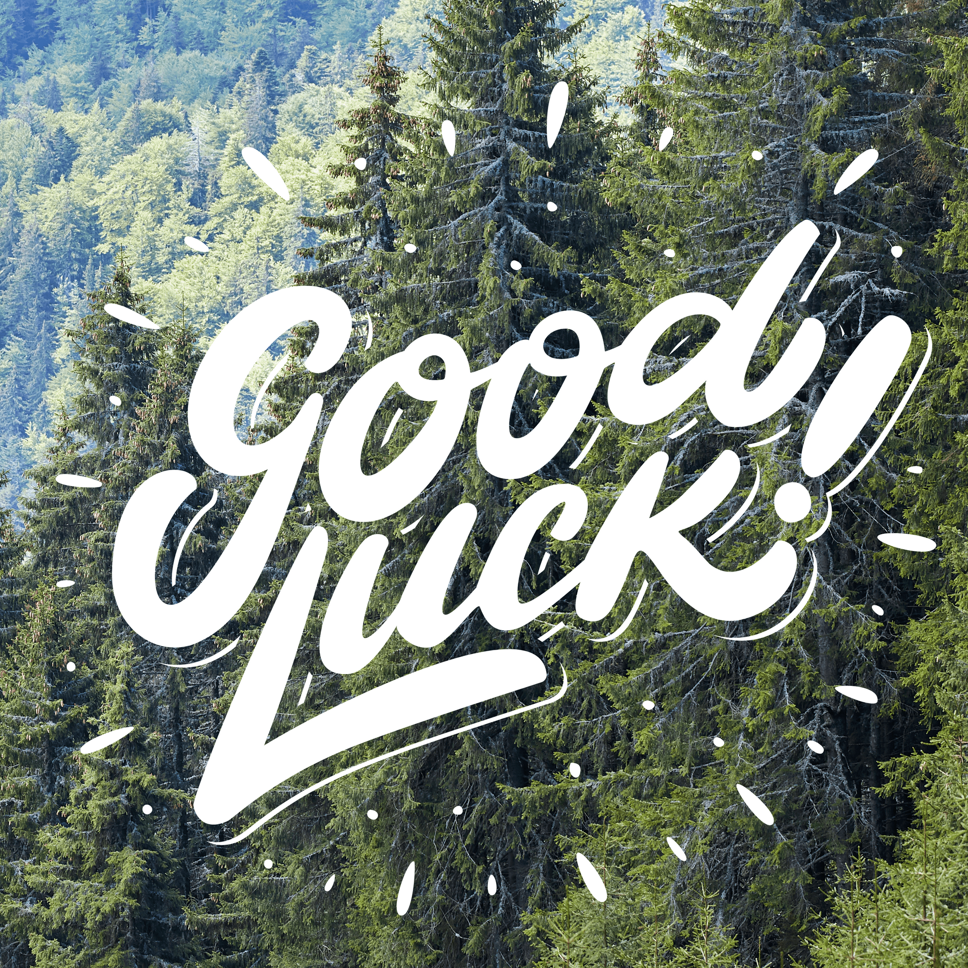 Forest scene with 'Good Luck!' text overlay