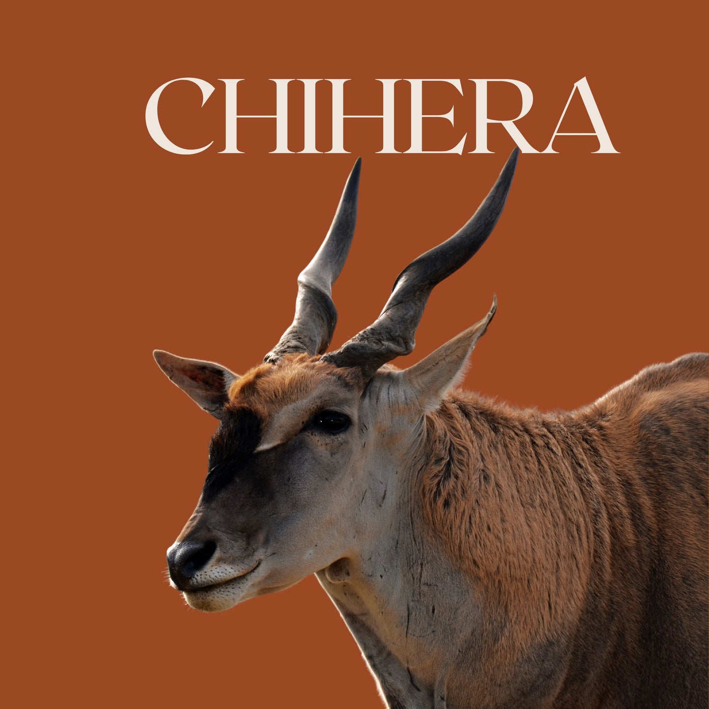 CHIHERA
