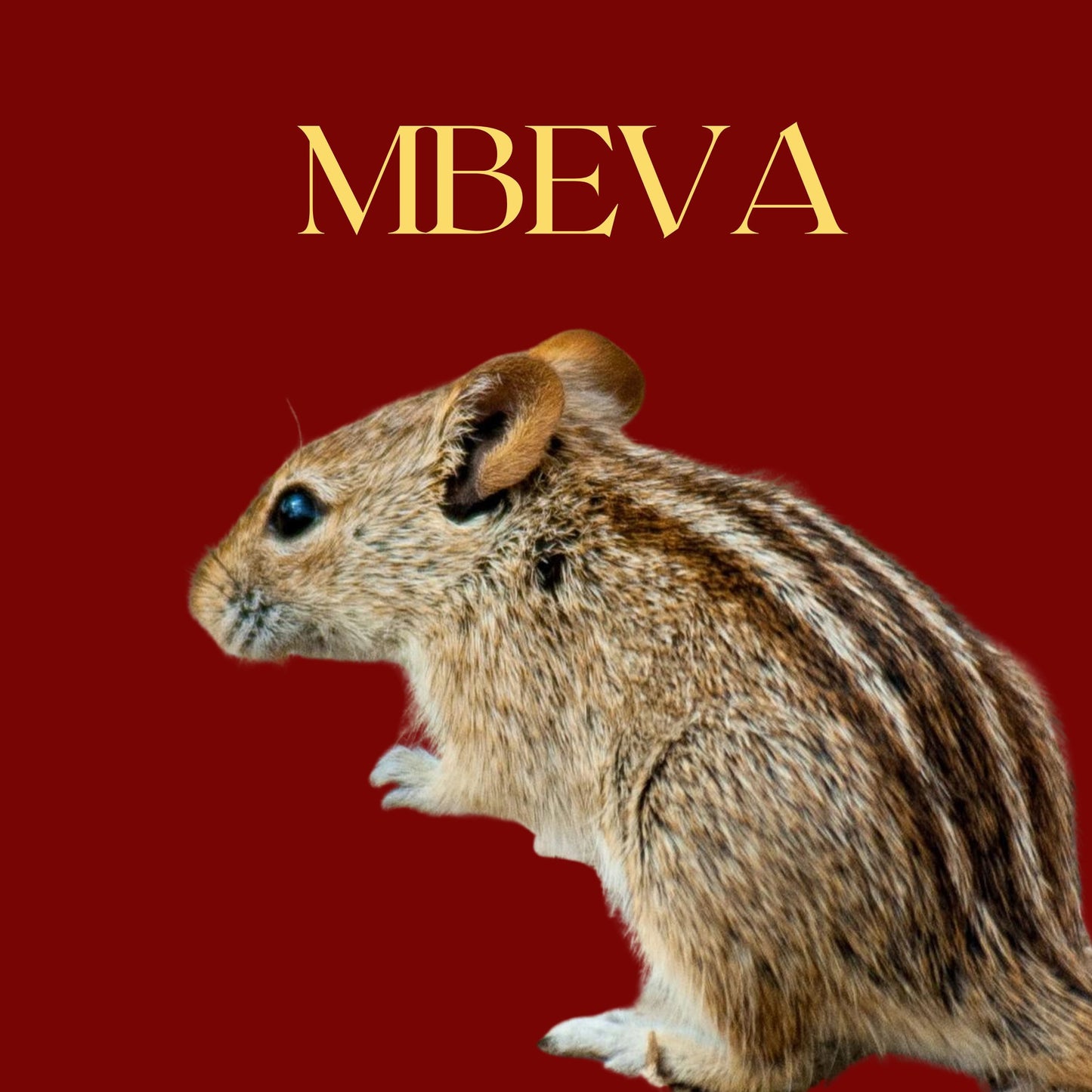 MBEVA