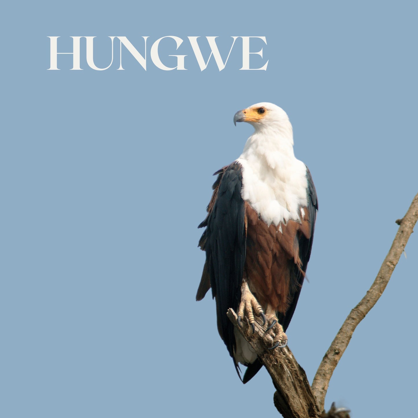 HUNGWE