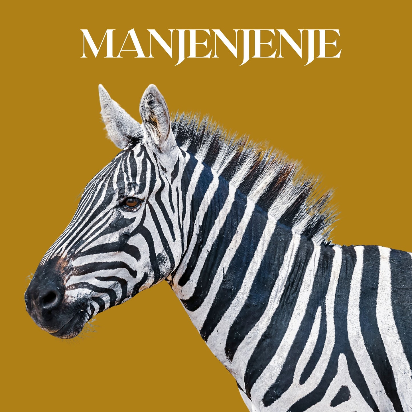 MANJENJENJE