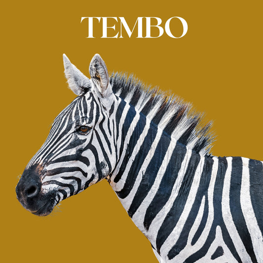 TEMBO