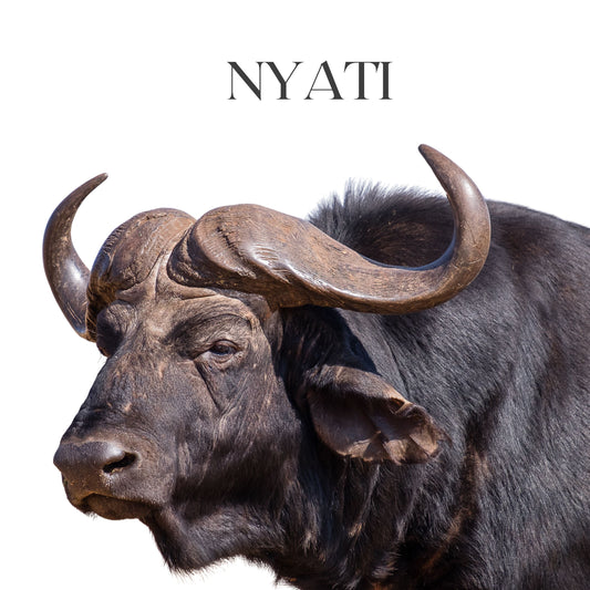 NYATI