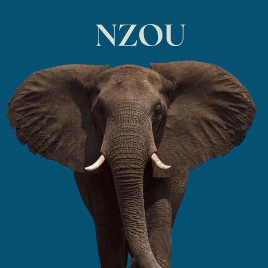 NZOU