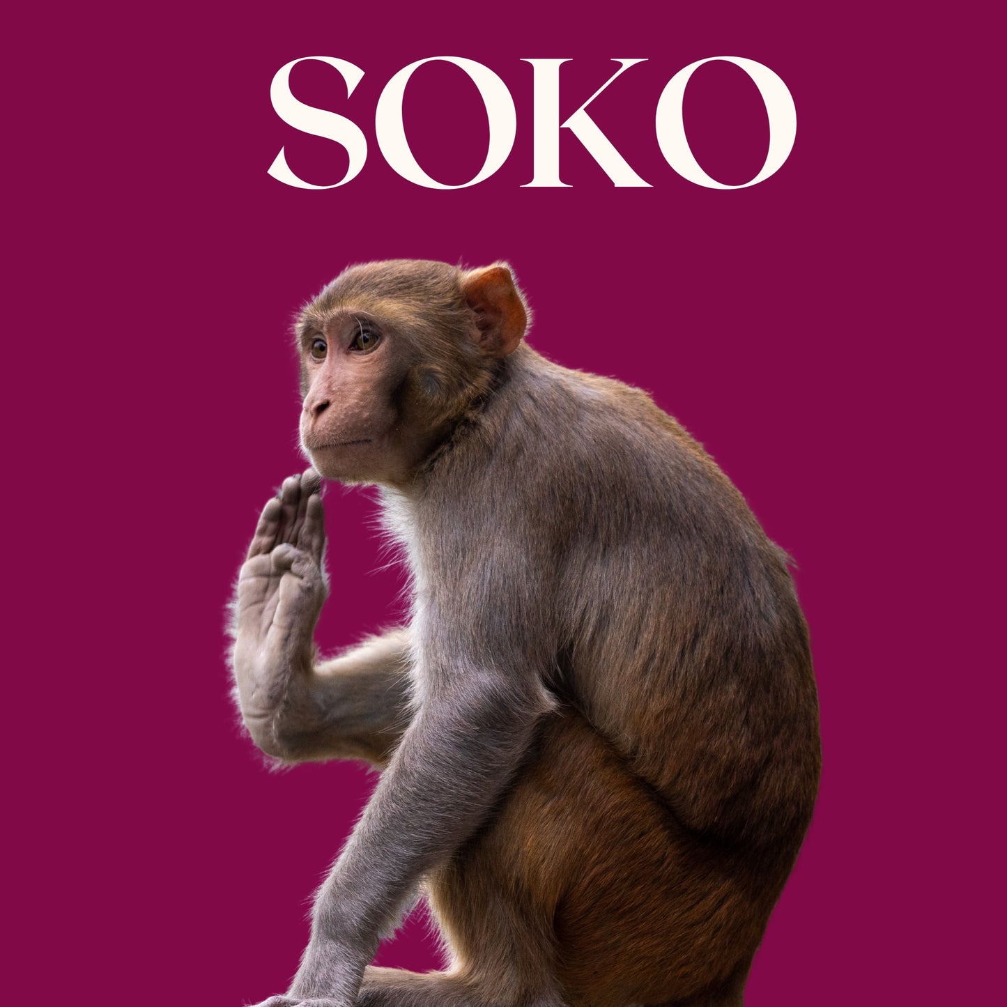 SOKO