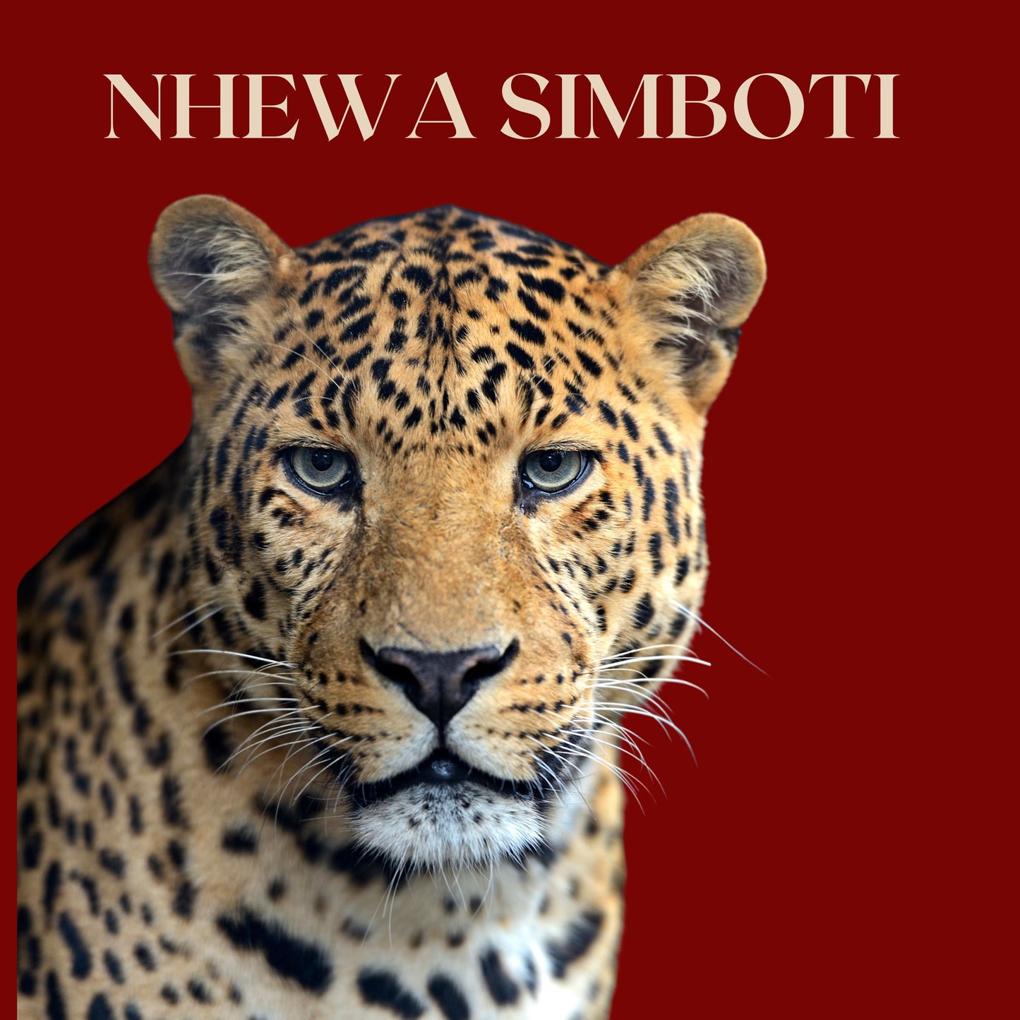 NHEWA SIMBOTI